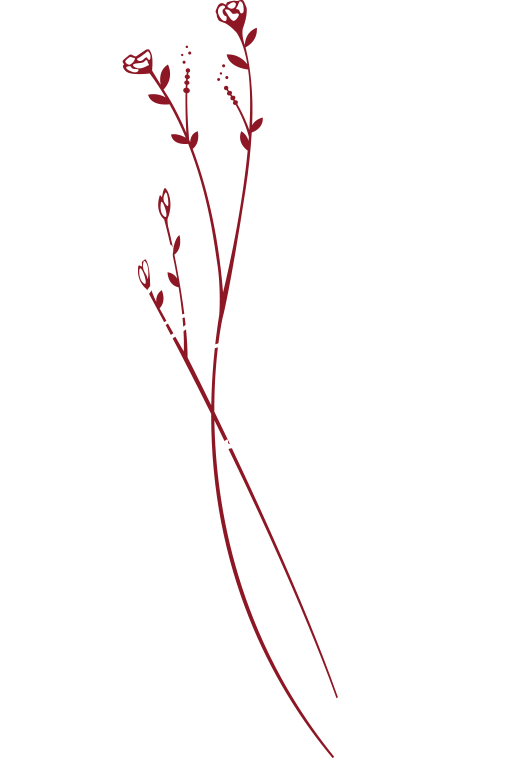 marie creations